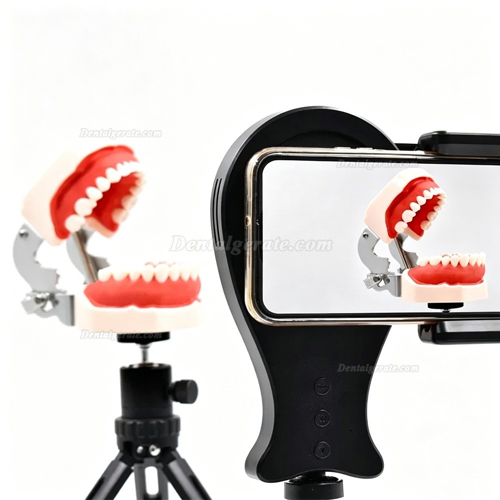 LED-Ringleuchten f&uuml;r Dentalfotografie mit 3 Farbtemperaturmodi
